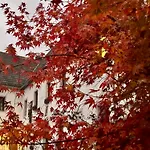 Apartment Burg Hausen *