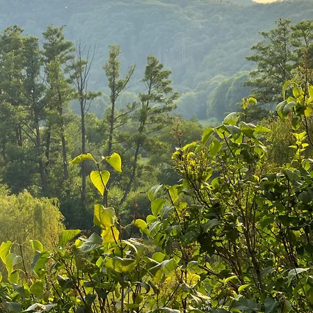 Burg Hausen شقة هيمباخ