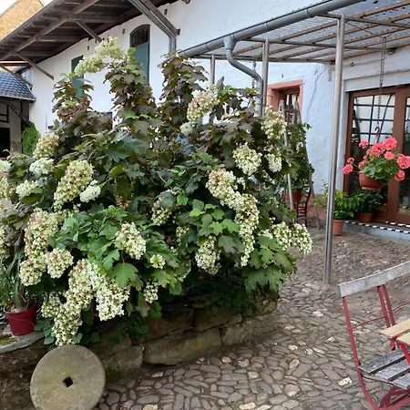 Burg Hausen *