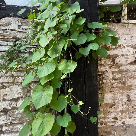 شقة Burg Hausen *