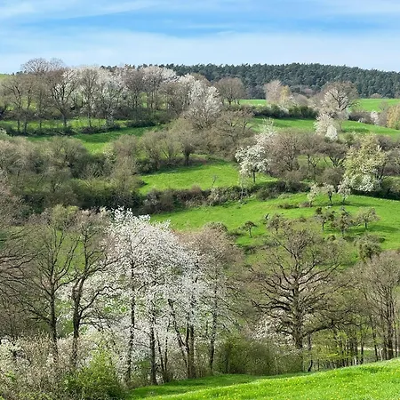 Burg Hausen * Heimbach