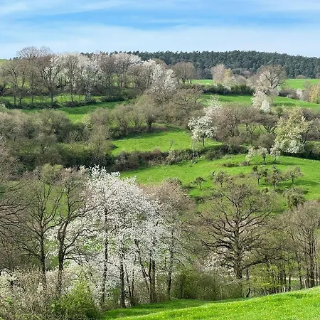 Burg Hausen * Heimbach
