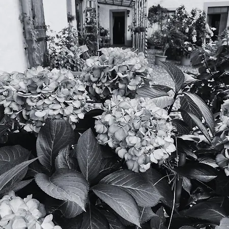 شقة Burg Hausen *