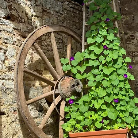 شقة Burg Hausen هيمباخ