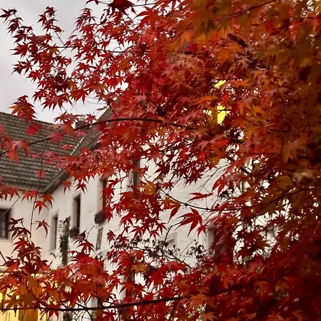 شقة Burg Hausen *