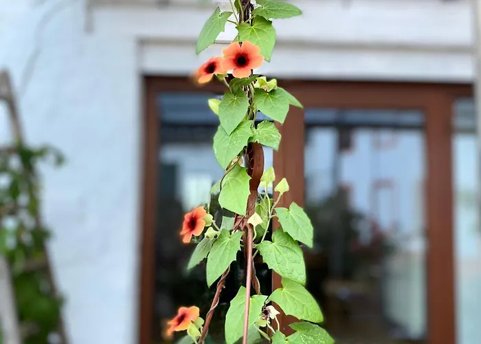 Burg Hausen Хаймбах