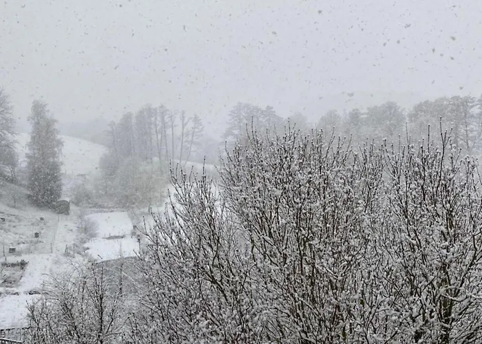 Daire Burg Hausen Heimbach