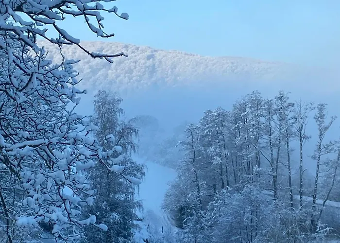 Burg Hausen * Heimbach