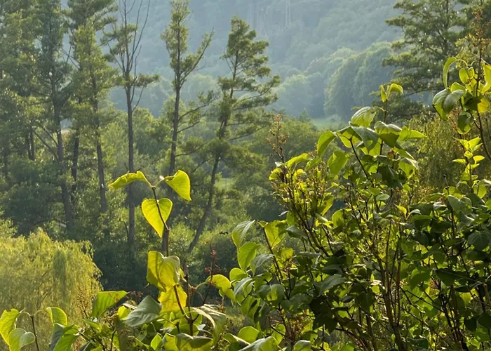 Burg Hausen Апартаменты Хаймбах