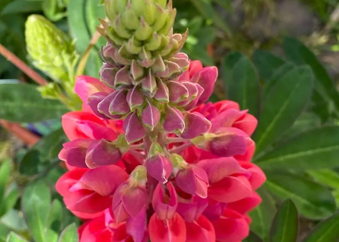 Burg Hausen * Хаймбах