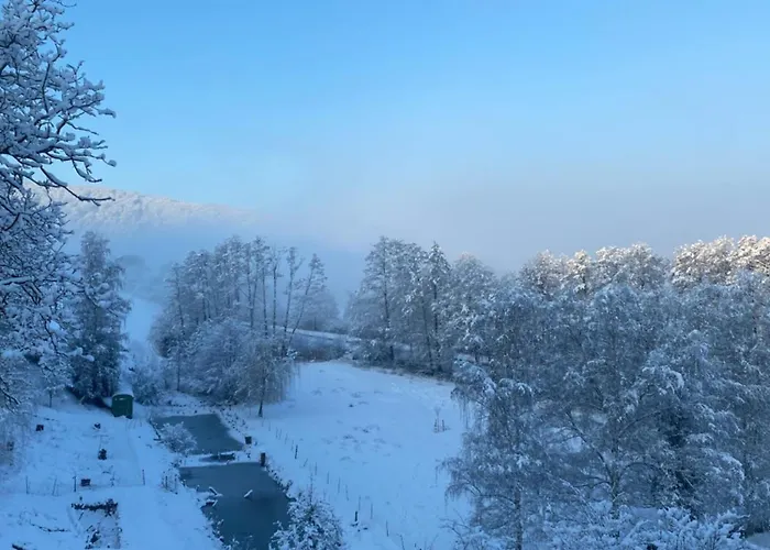 Daire Burg Hausen Heimbach