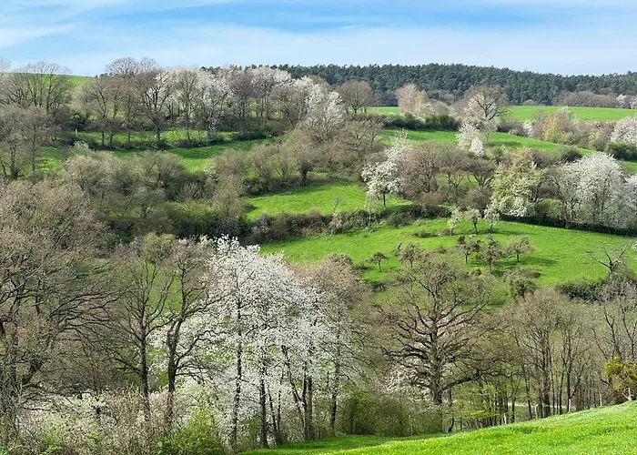 Burg Hausen * Хаймбах
