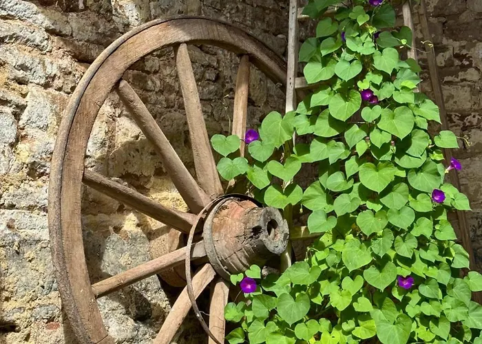 Daire Burg Hausen Heimbach