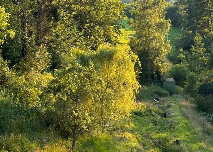 Daire Burg Hausen Heimbach